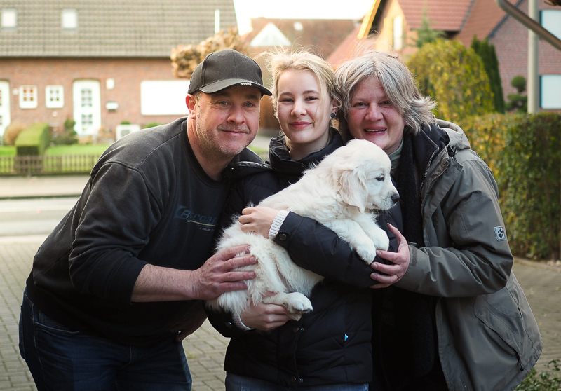 Golden Retriever Welpe Schmallenberg